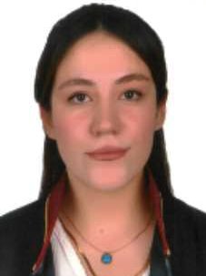 Av. Mustafa Polat