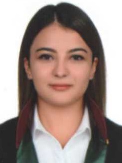 Av. Mustafa Şahin