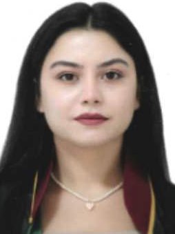 Av. Mustafa Tektaş