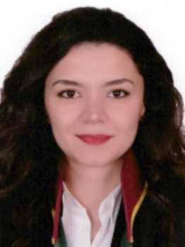 Av. Nizamettin Karadayi
