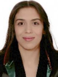 Av. Nurgül Bal