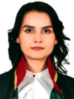 Av. Ömer Alp Atli