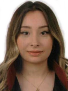 Av. Ömer Gezen