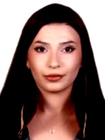 Av. Orcan Talşik