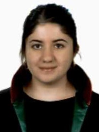 Av. Orhan Akkulak