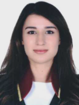 Av. Ozan Balim