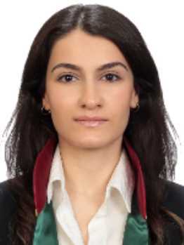 Av. Ozan Varol