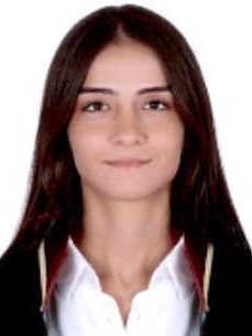 Av. Özlem Özer