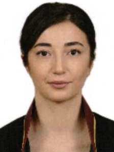 Av. Pelin Haseki