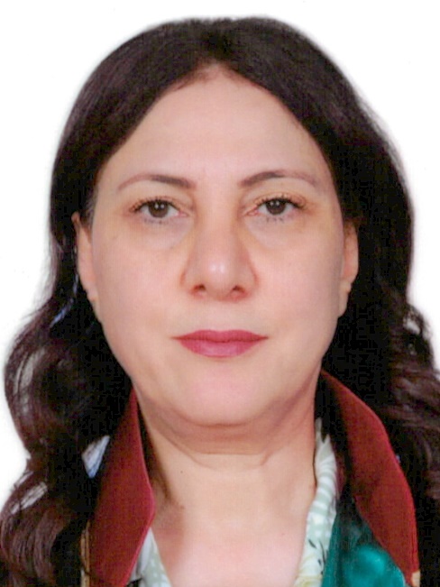 Av. Pervin Daşdemir