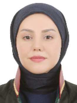 Av. Ramazan Gök