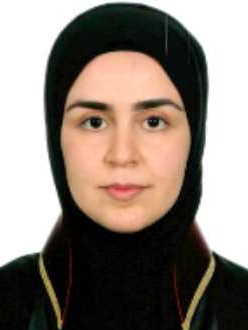 Av. Ramazan Mizrak