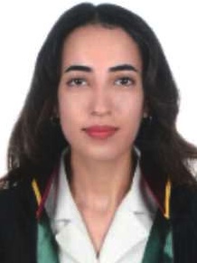 Av. Raziye Yilmaz