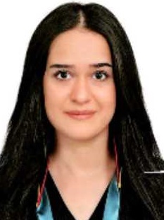 Av. Reis Çevik