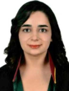 Av. Ronahi Gün