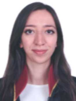 Av. Sadik Erkuş