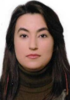 Av. Safa Enes Bal