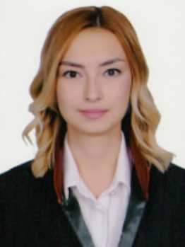 Av. Salih Özgüneş