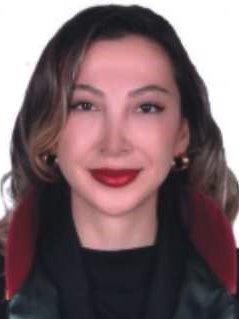 Av. Sarp Özgen