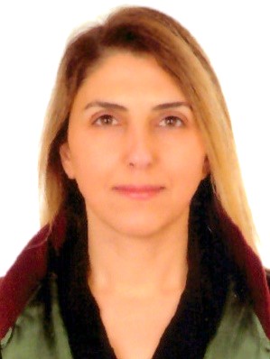 Av. Semih Çinar
