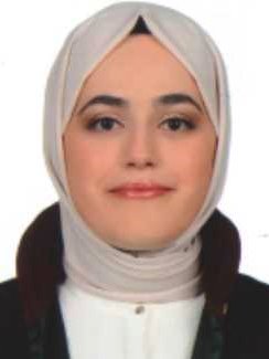 Av. Serdar Baytar