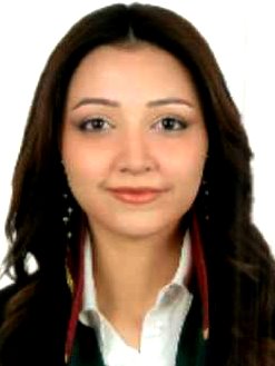 Av. Serdem Doğa Öz