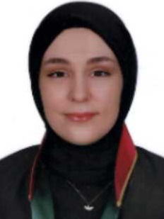 Av. Serkan Salmaz