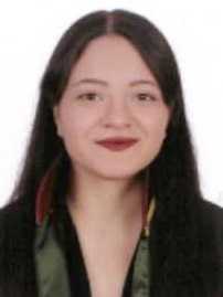 Av. Sermin Bayir
