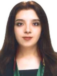 Av. Sevim Şen