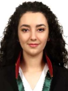 Av. Seyfettin Erdem