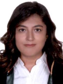 Av. Seyfullah Tekağaç