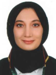 Av. Sezer Akçam