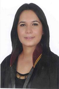 Av. Sibel Atçi Findik