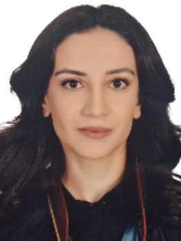 Av. Sinan Tiymur