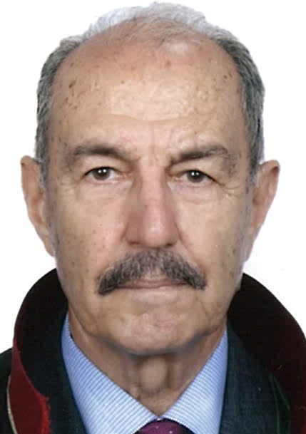 Av. Sinem Oktar Toksari
