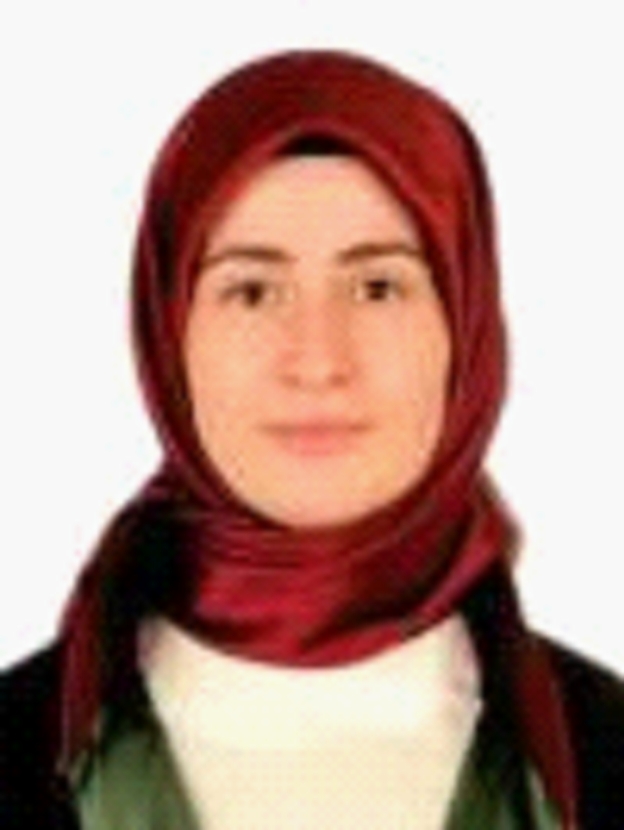 Av. Sinem Sarikaya
