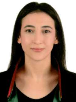 Av. Sultan Nüseybe Doğan