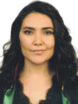 Av. Talha Efendioğlu