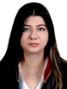 Av. Talha Enver Sevim