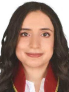 Av. Taner Küçük