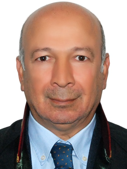 Av. Taner Şen