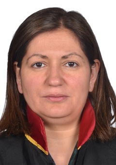 Av. Tarik Sari