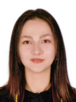 Av. Tarik Uysal