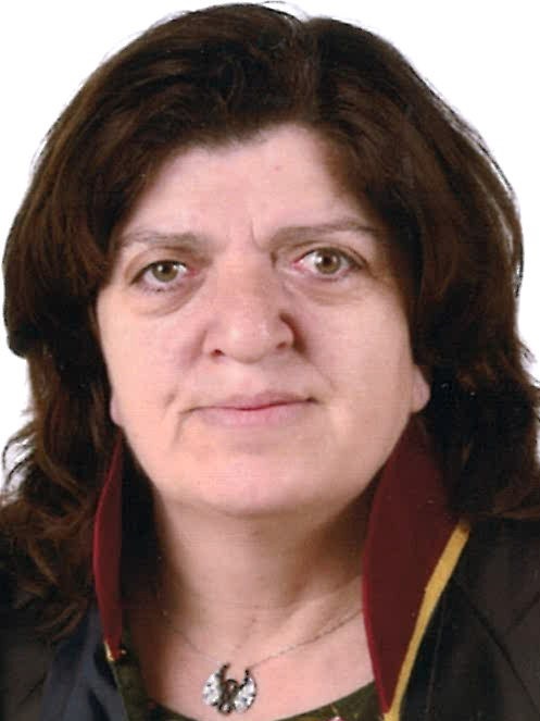 Av. Tayfun Şanli
