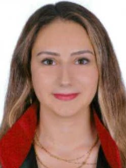 Av. Taylan Sönmez