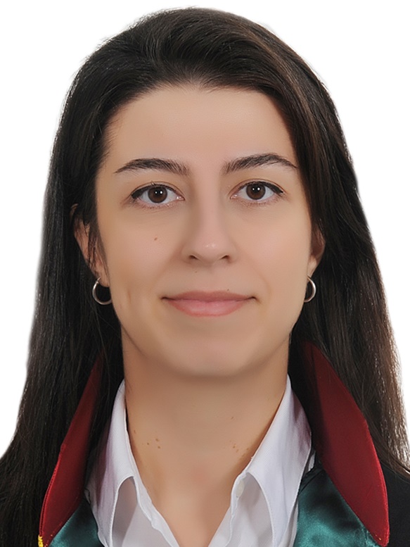 Av. Taylan Tozlu