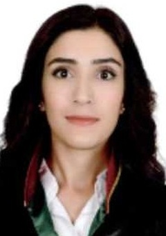 Av. Tayyar Özkan Soylu