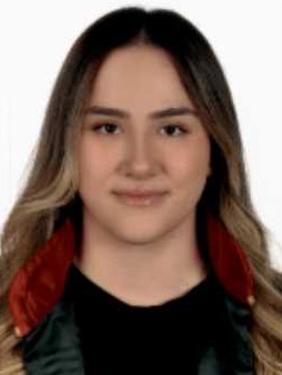 Av. Teoman Oğuz Demir