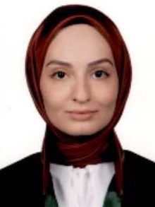 Av. Uğur Has