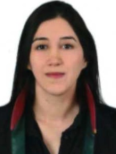 Av. Umut Burak Salman